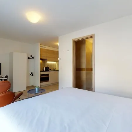 Furnished Studio #204 - Swiss Apartment *